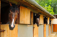 free Hatch Beauchamp stable construction quotes